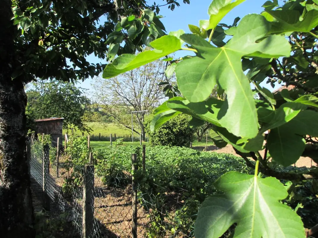 Gîte de France Gite de la genette 3 épis