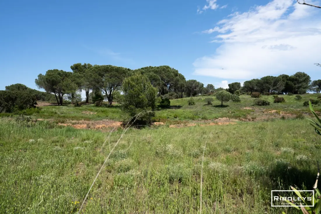 Riboleys - Grande Villa Au Golf De Béziers