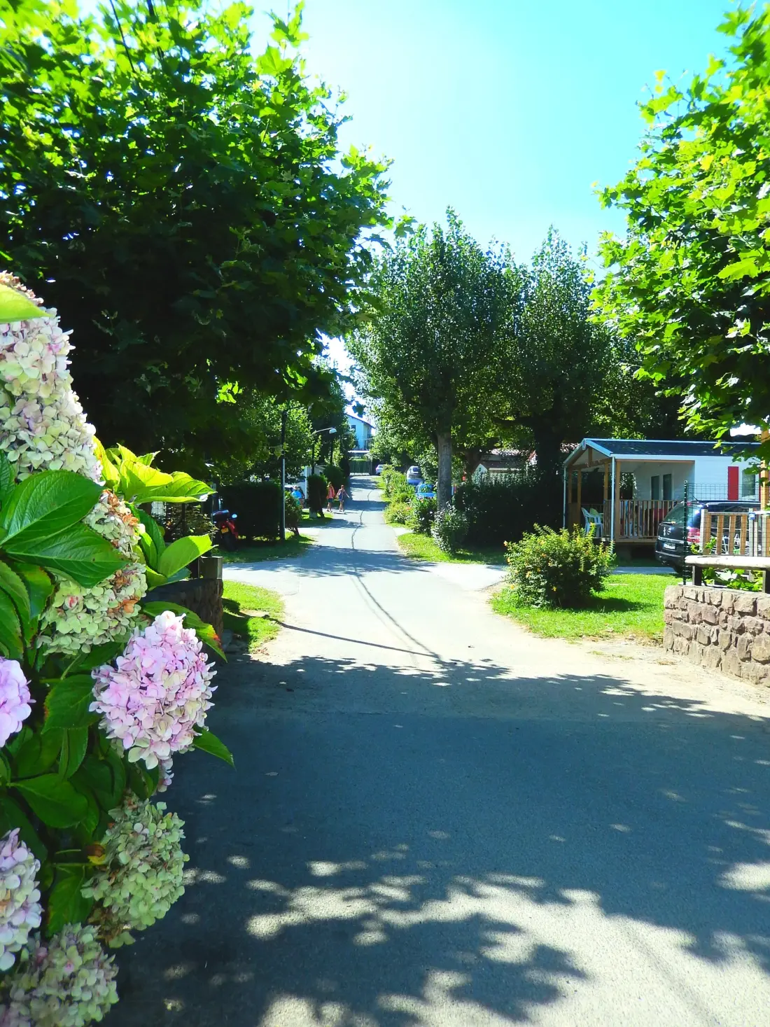 Camping Harrobia 3 étoiles★★★