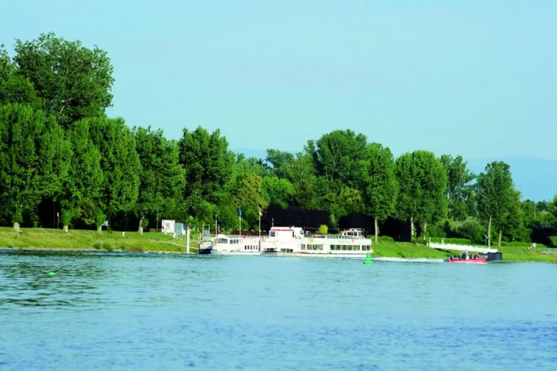 Camping L'Ile du Rhin