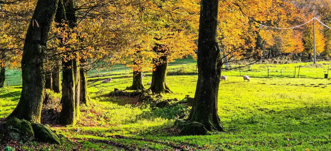 Gîte de France Kerdaniel 3 épis