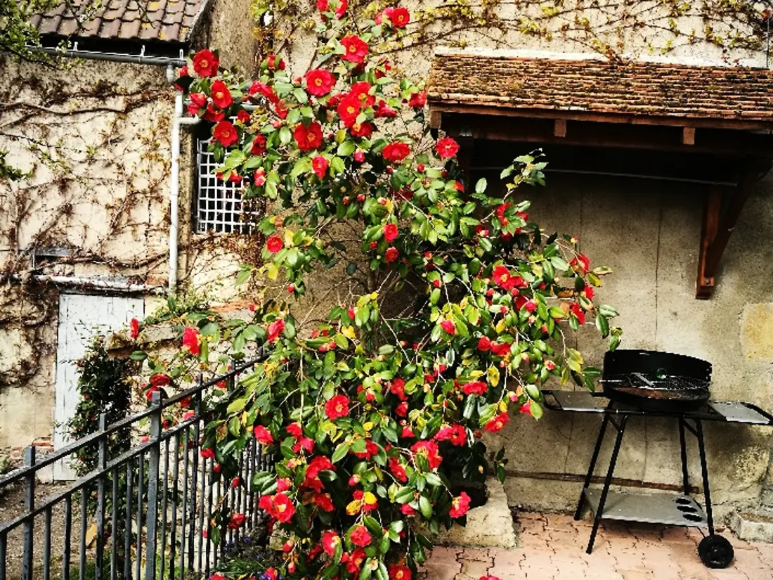 Maison de Vacances Billy 2