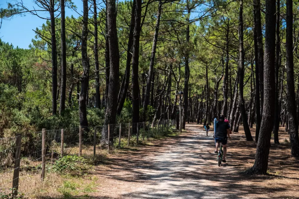 Camping Campéole Le Vivier 4 étoiles★★★★