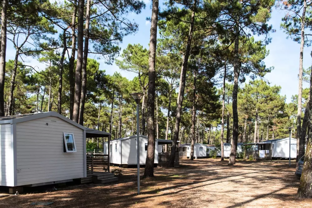 Camping Campéole Le Vivier 4 étoiles★★★★