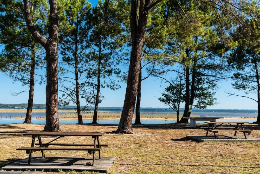 Camping Campéole Navarrosse Plage 4 étoiles★★★★