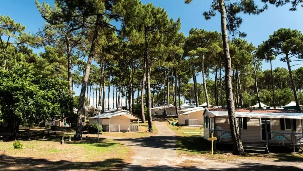 Camping Club Plage Sud 4 étoiles★★★★ - MS Vacances