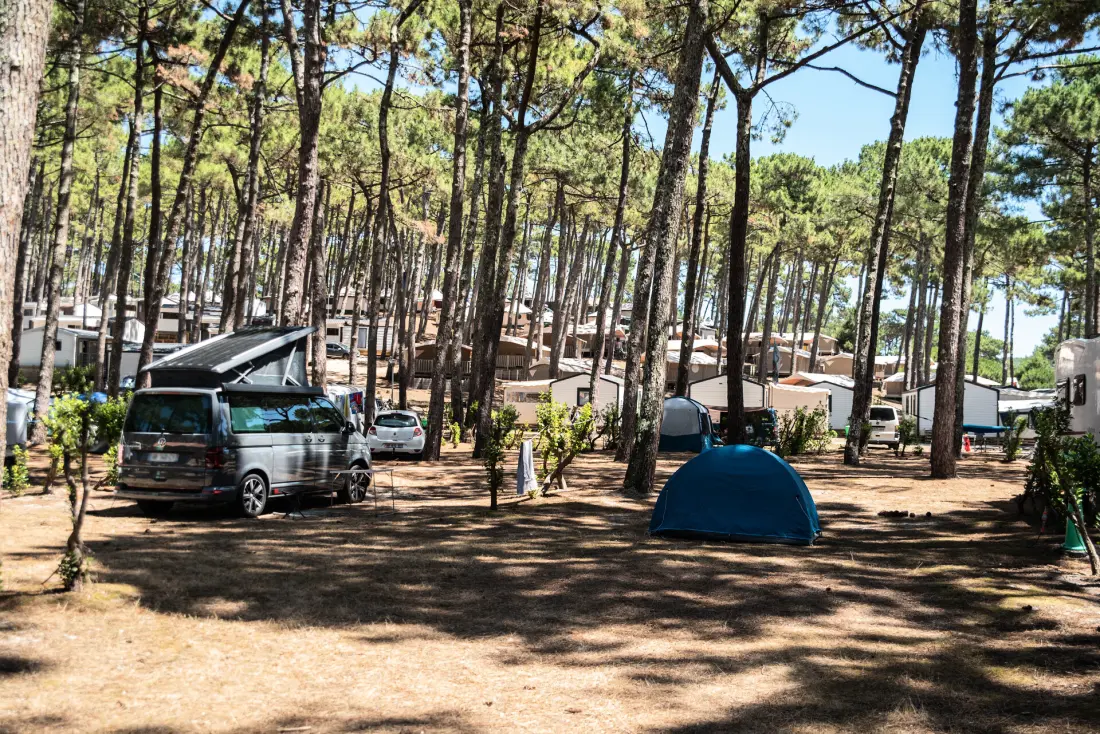 Camping Club Plage Sud 4 étoiles★★★★ - MS Vacances