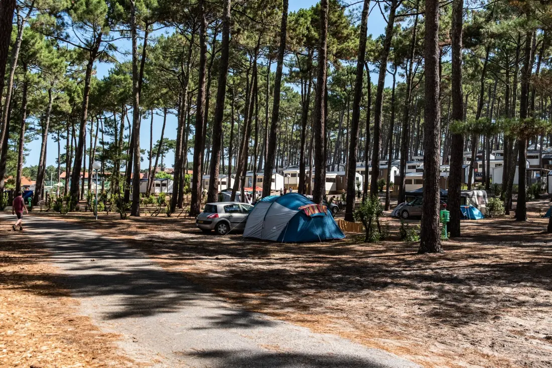 Camping Club Plage Sud 4 étoiles★★★★ - MS Vacances