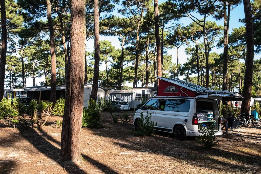 Camping Club Plage Sud 4 étoiles★★★★ - MS Vacances