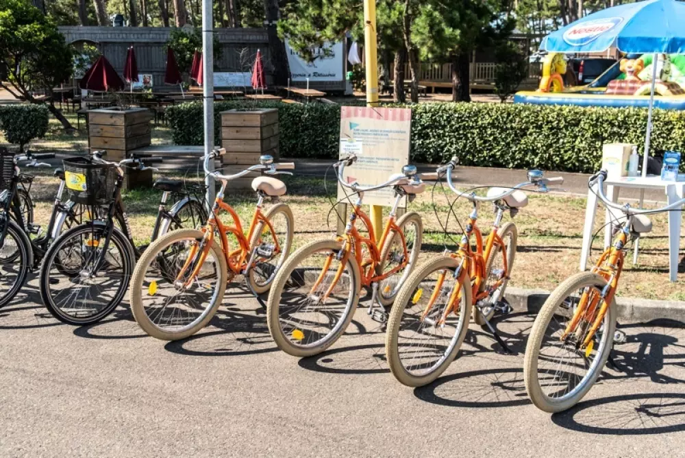 Camping Plage Sud4 étoiles★★★★