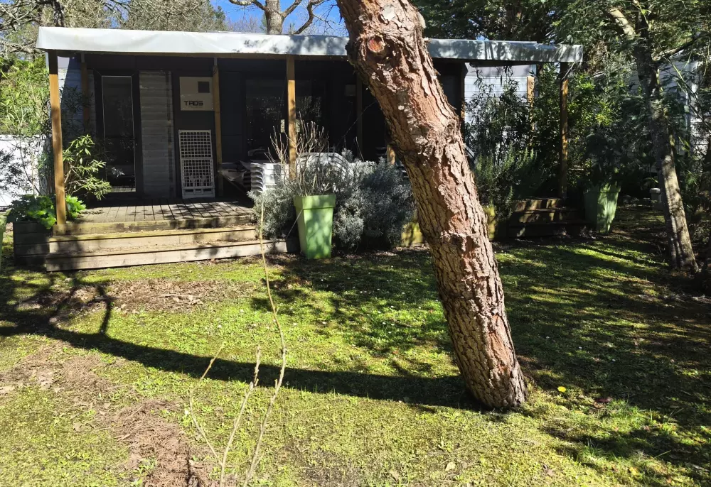 En Chon Les Pins - Camping-Caravaning 3 étoiles★★★