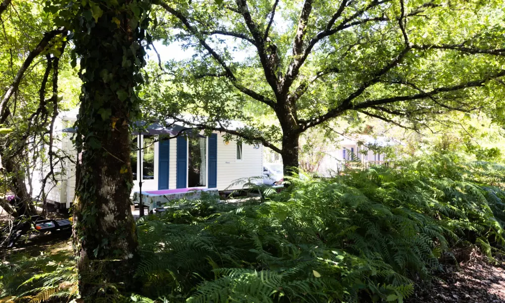 En Chon Les Pins - Camping-Caravaning 3 étoiles★★★