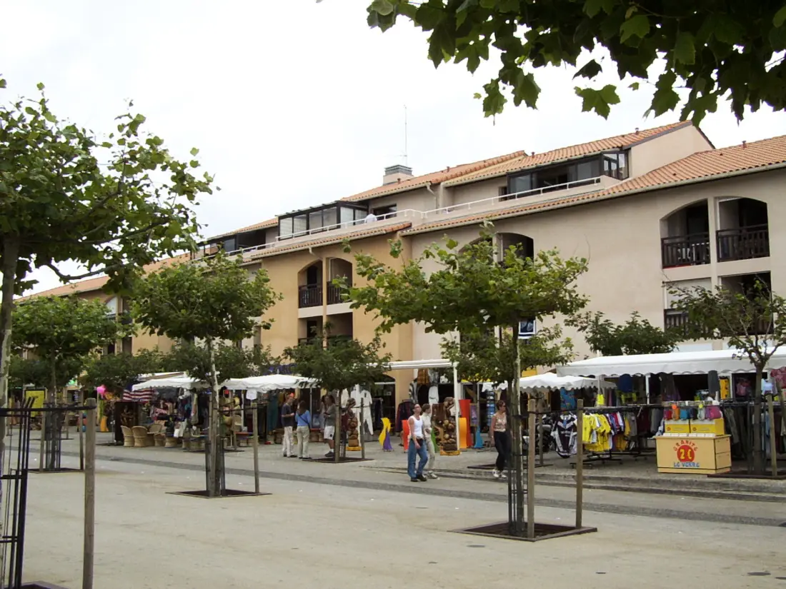 Location de Vacances Biscarrosse 313