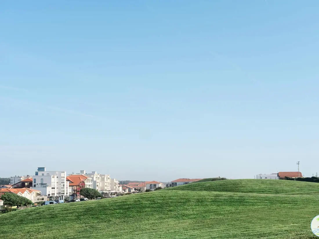 Location de Vacances Biscarrosse 331