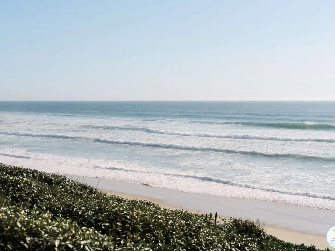 Location de Vacances Biscarrosse 331