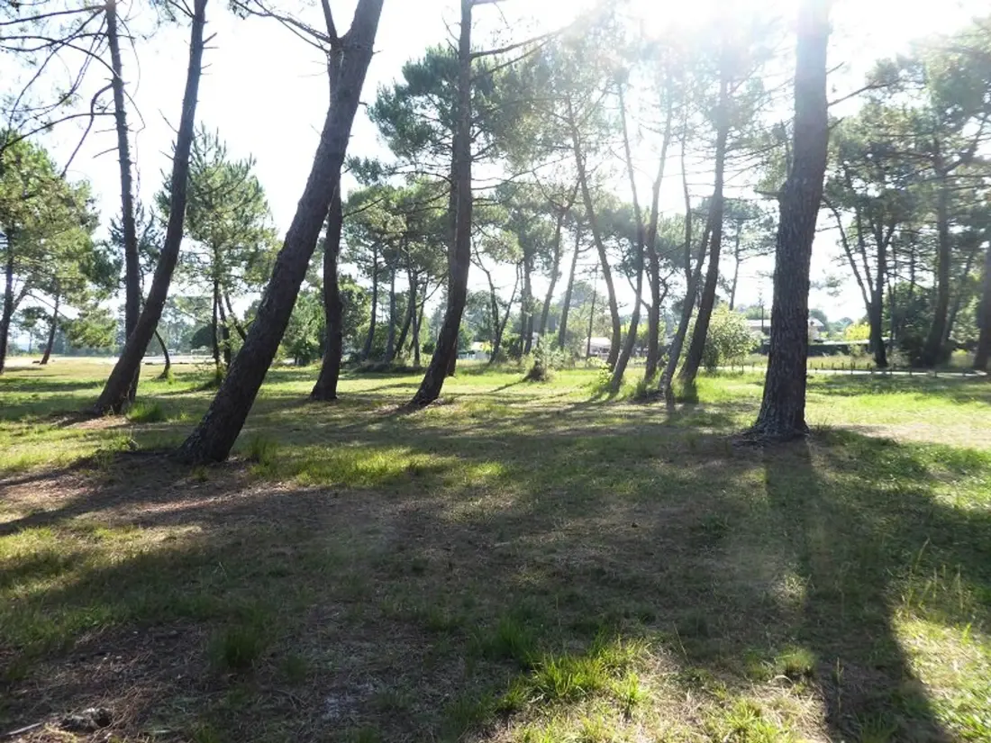 Location de Vacances Biscarrosse 333