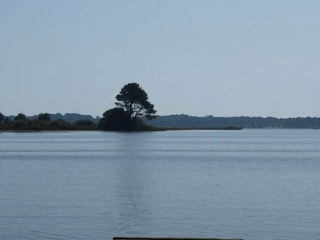 Location de Vacances Biscarrosse 333