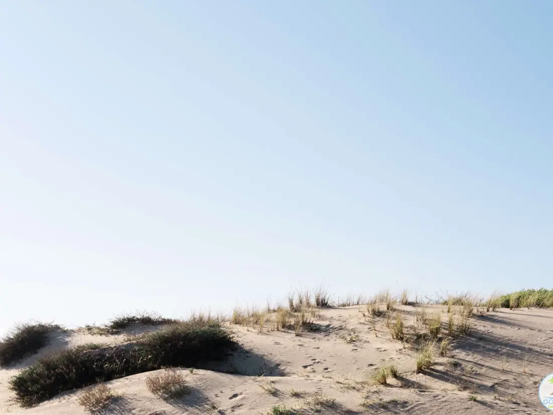 Location de Vacances Biscarrosse 335