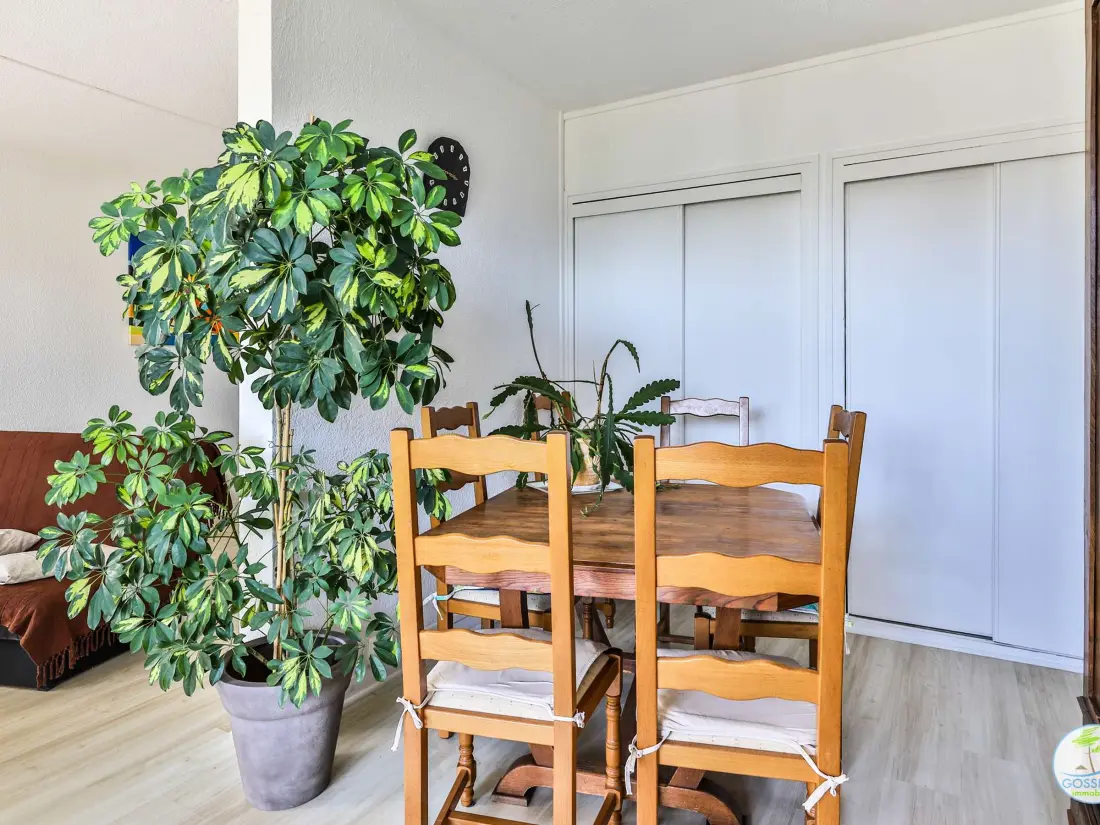 Location de Vacances Biscarrosse 336