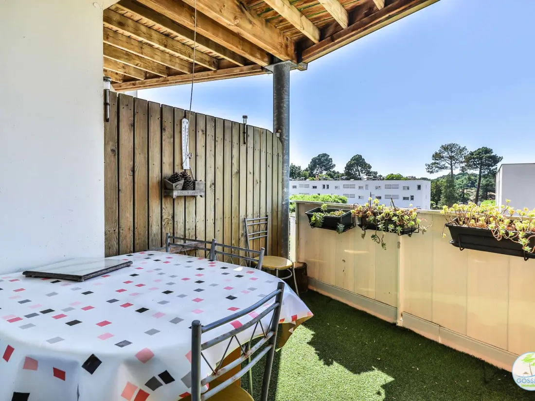 Location de Vacances Biscarrosse 336
