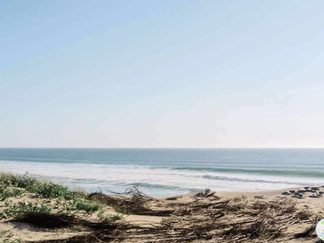 Location de Vacances Biscarrosse 336