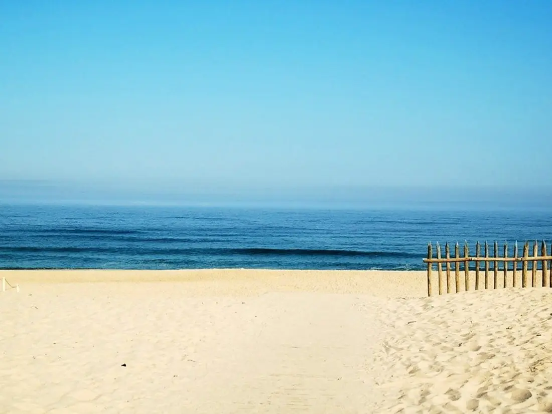Location de Vacances Biscarrosse 338