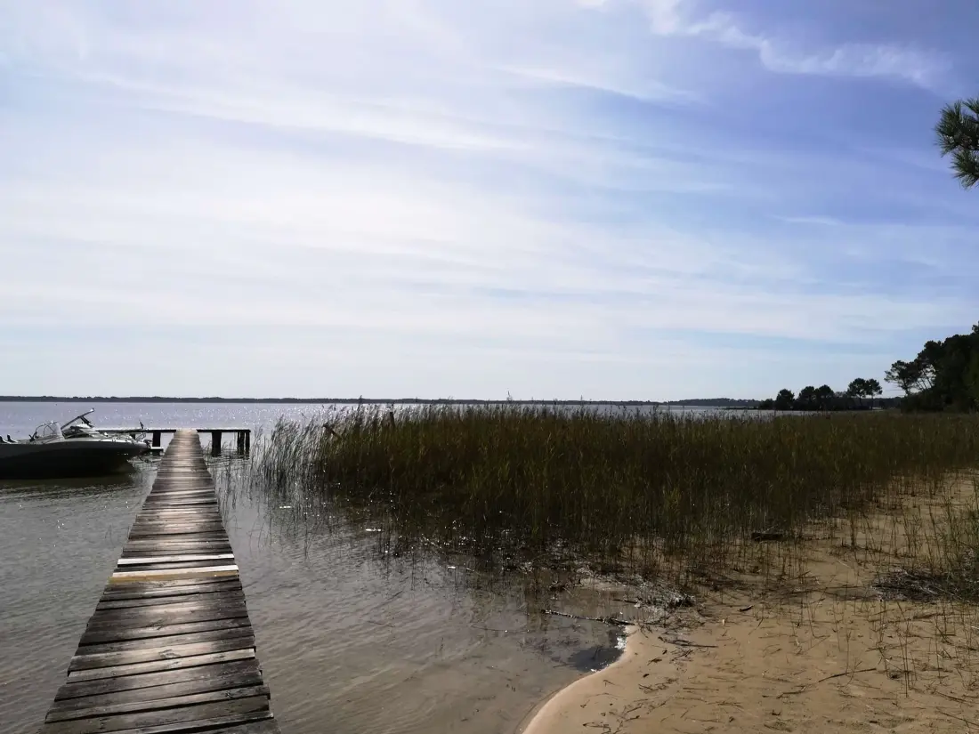 Location de Vacances Biscarrosse 338