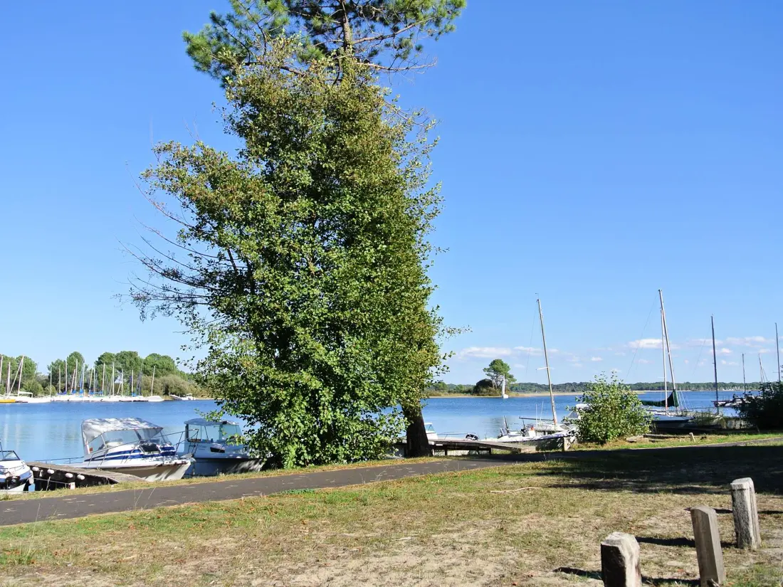 Location de Vacances Biscarrosse 338