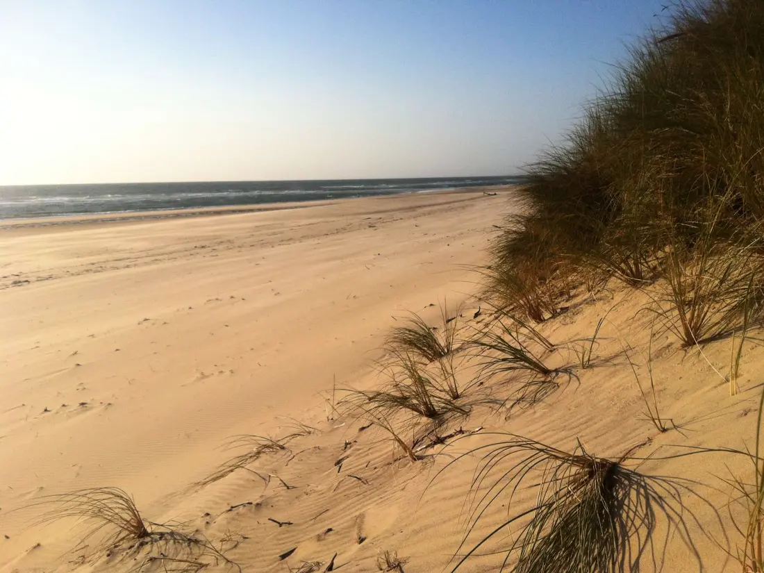 Location de Vacances Biscarrosse 341