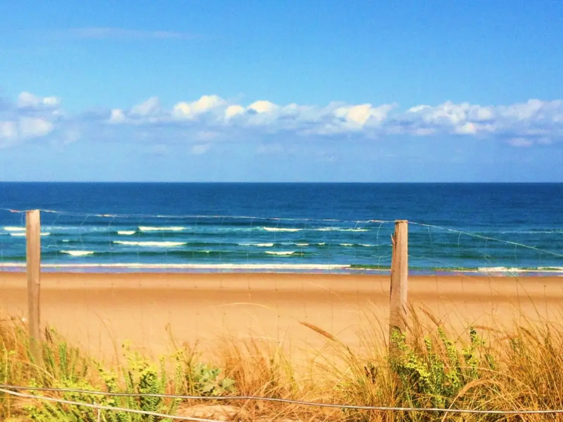 Location de Vacances Biscarrosse 341