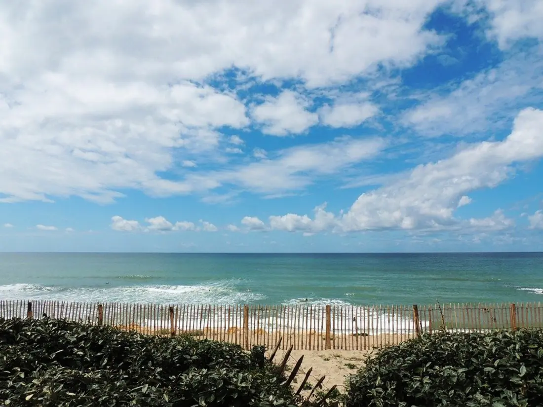 Location de Vacances Biscarrosse 343