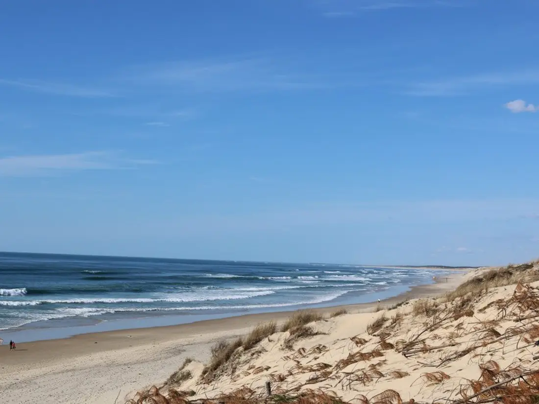 Location de Vacances Biscarrosse 343