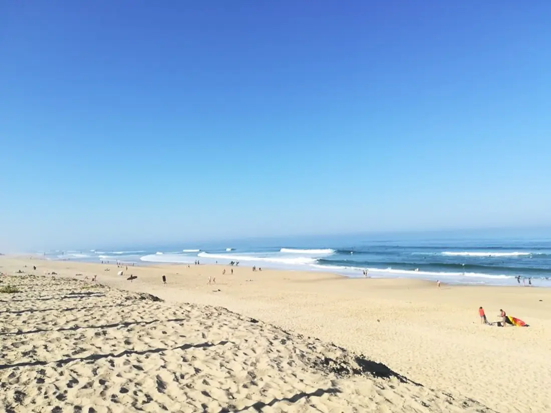 Location de Vacances Biscarrosse 343