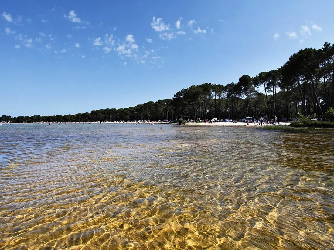 Location de Vacances Biscarrosse 345