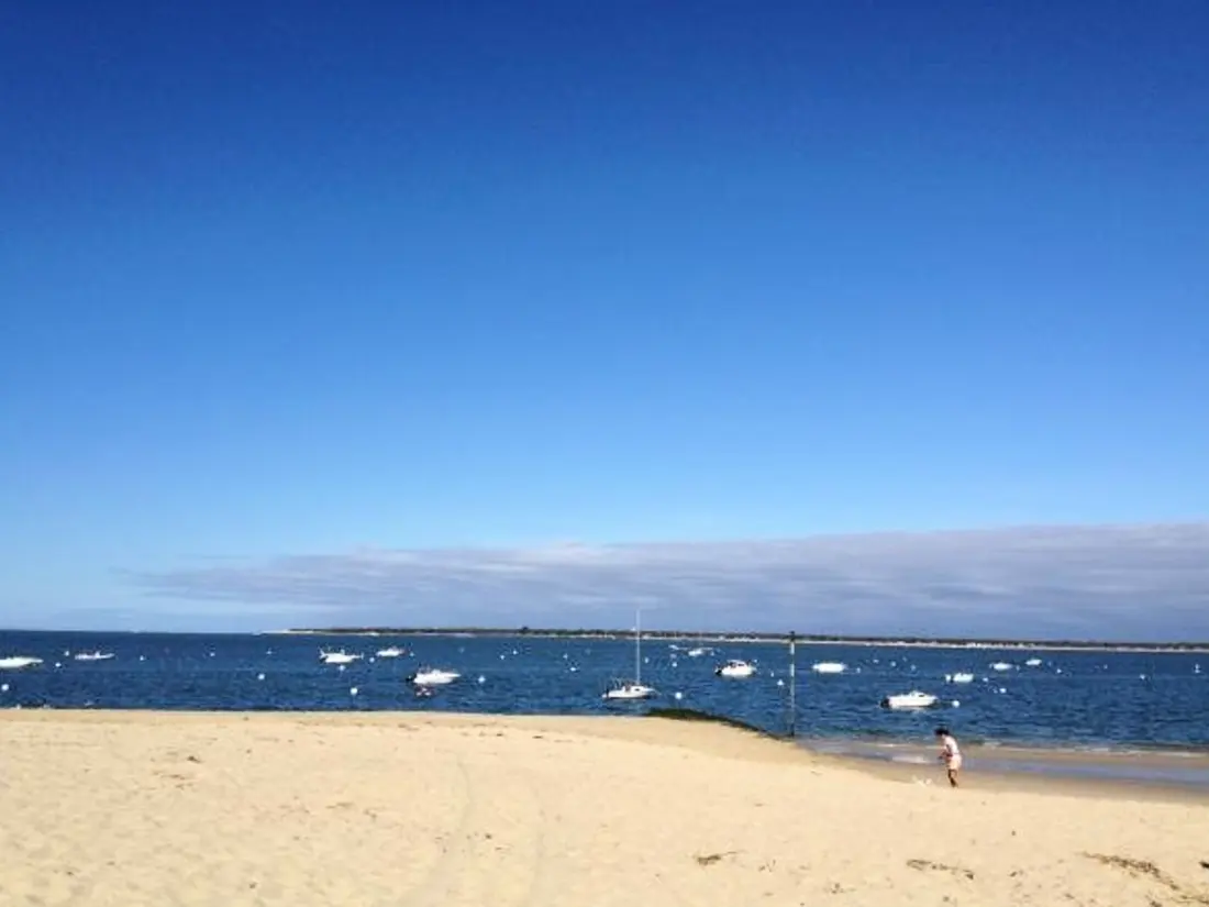 Location de Vacances Biscarrosse 347