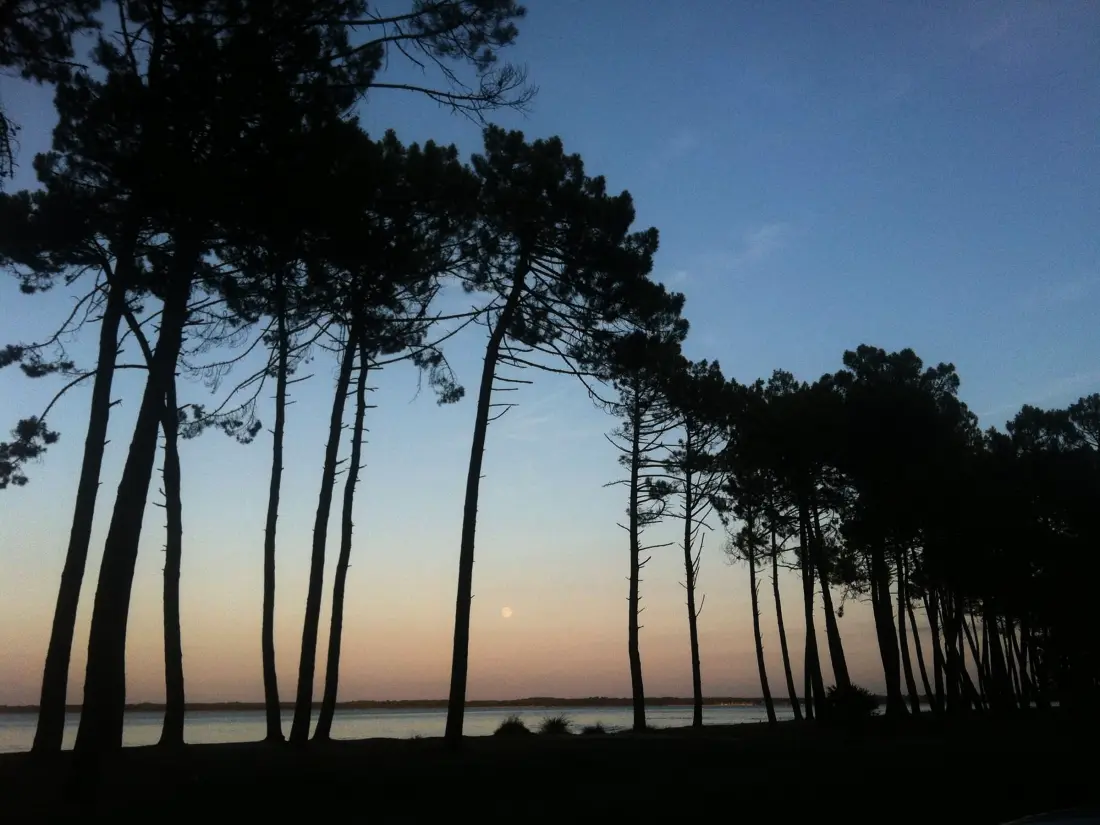 Location de Vacances Biscarrosse 347