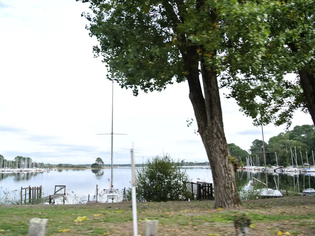 Location de Vacances Biscarrosse 352