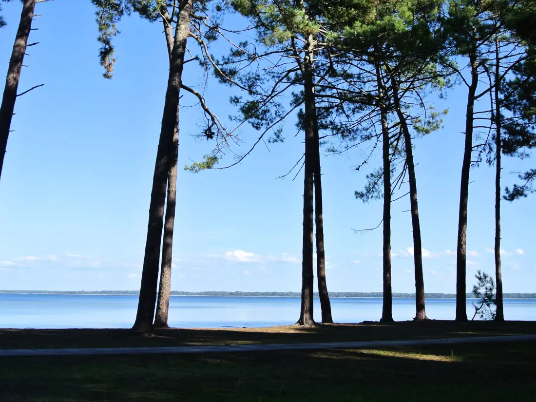 Location de Vacances Biscarrosse 352