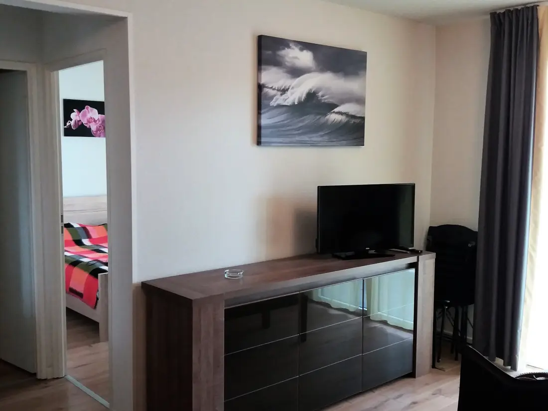 Location de Vacances Biscarrosse Plage 119