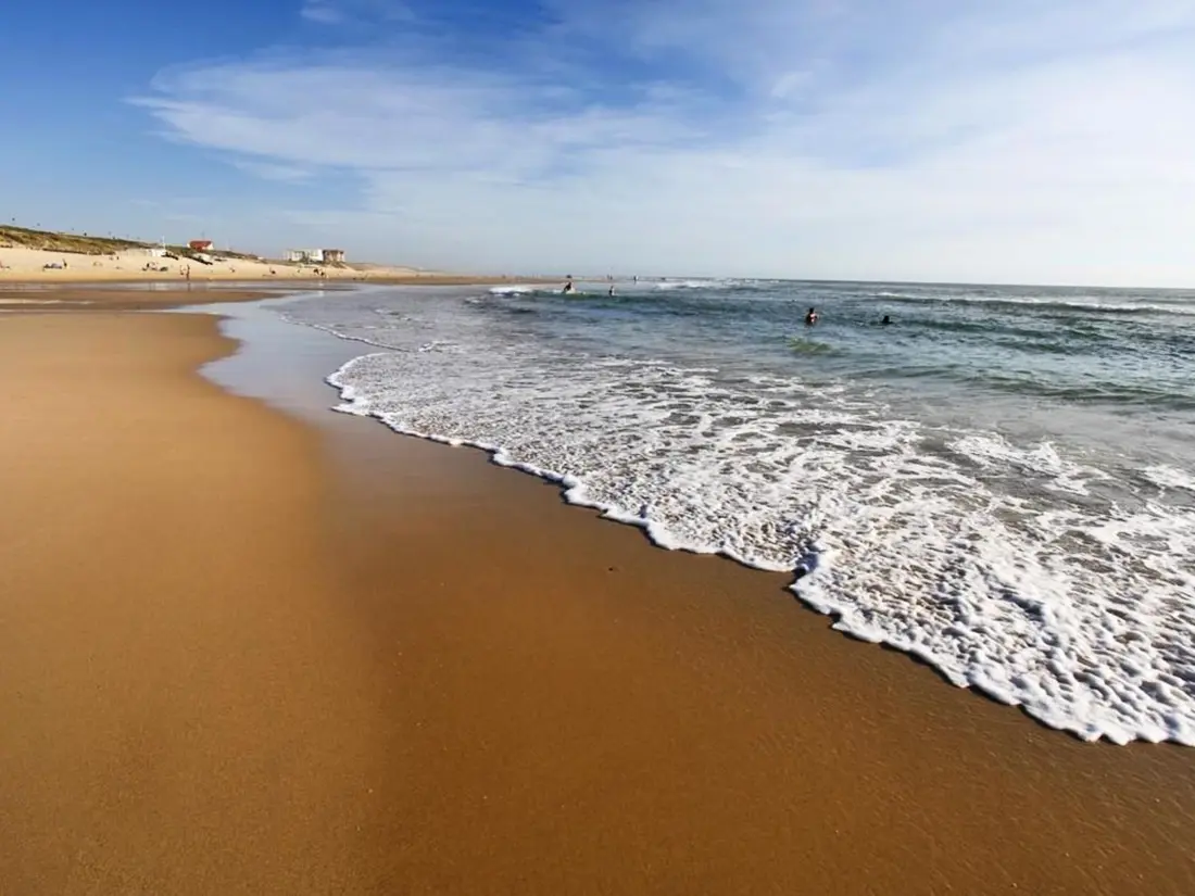 Location de Vacances Biscarrosse Plage 149