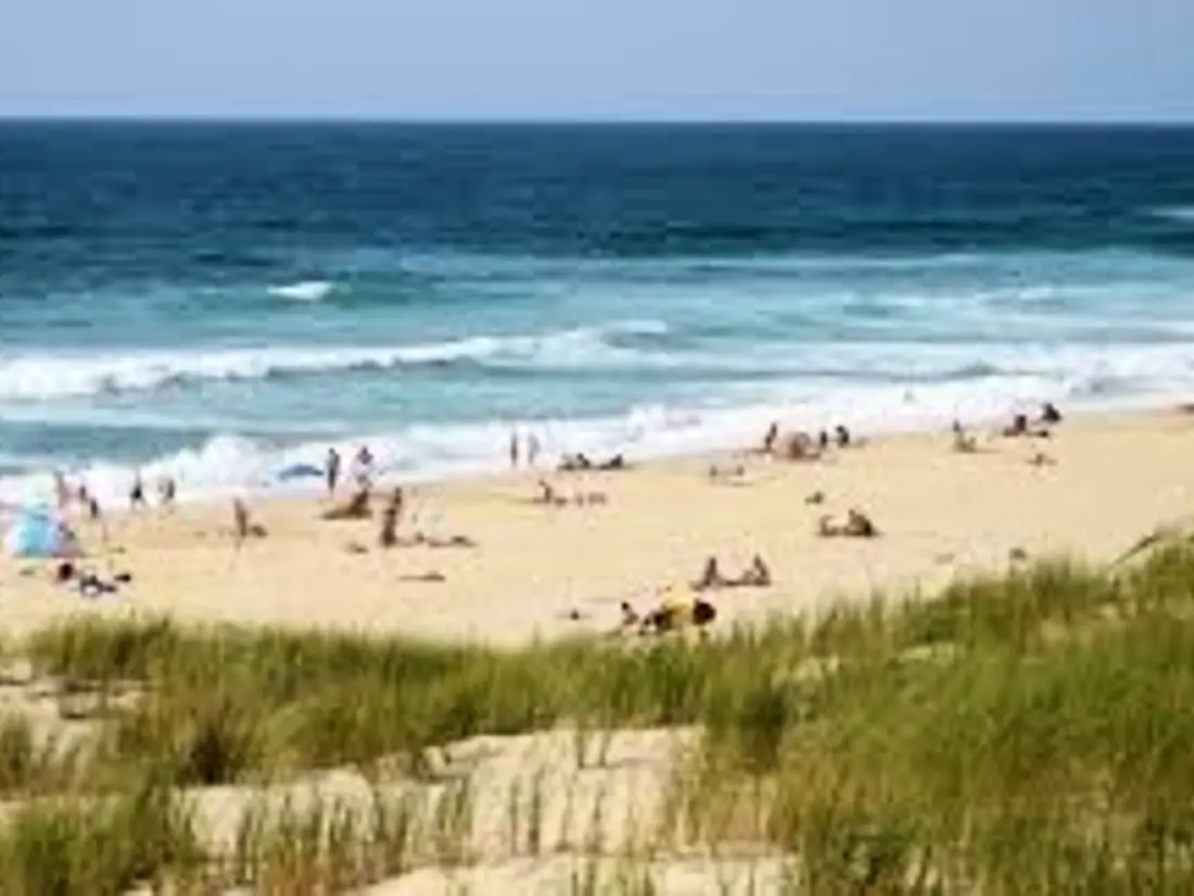 Location de Vacances Biscarrosse Plage 250