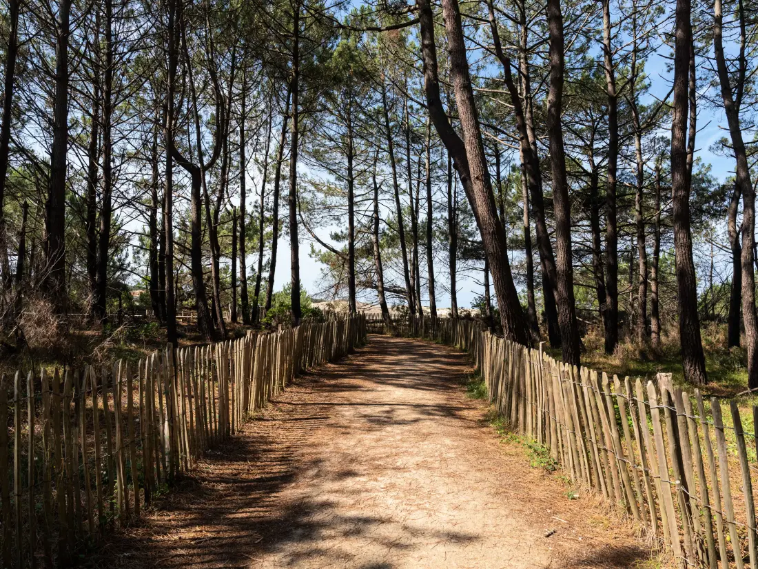 Location de Vacances Biscarrosse Plage 295
