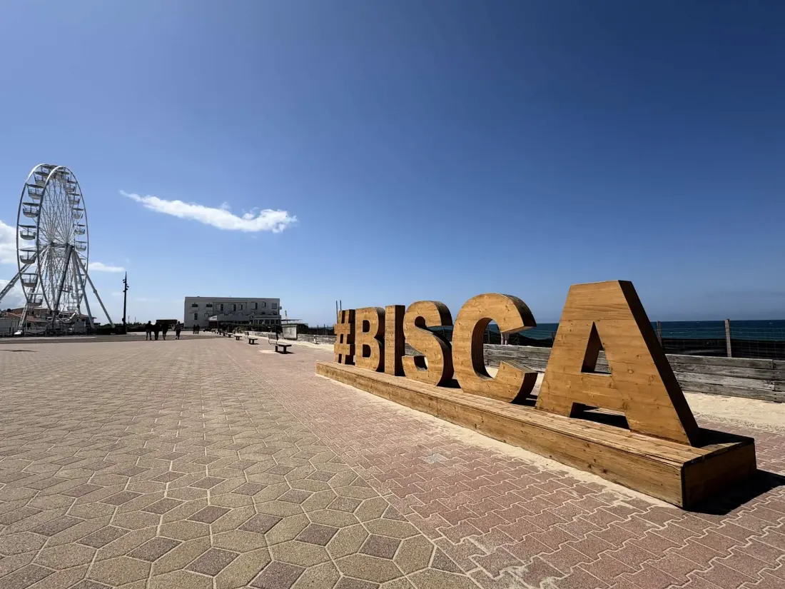 Maison de Vacances Biscarrosse 298