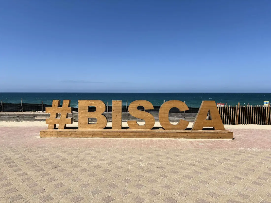 Maison de Vacances Biscarrosse 317