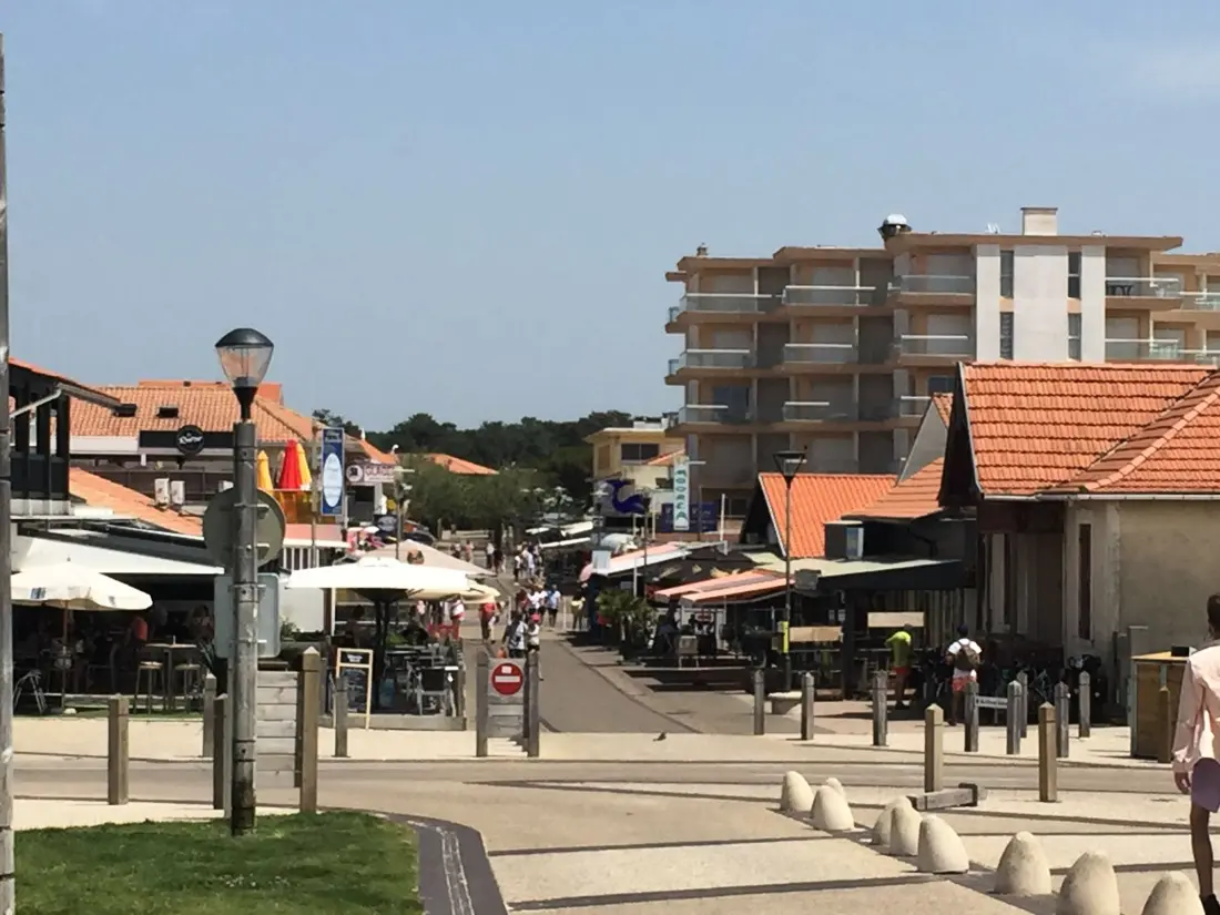 Maison de Vacances Biscarrosse 334