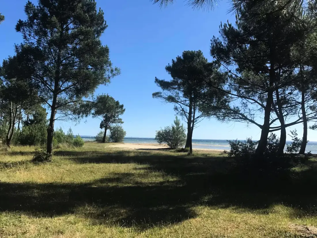Maison de Vacances Biscarrosse 372