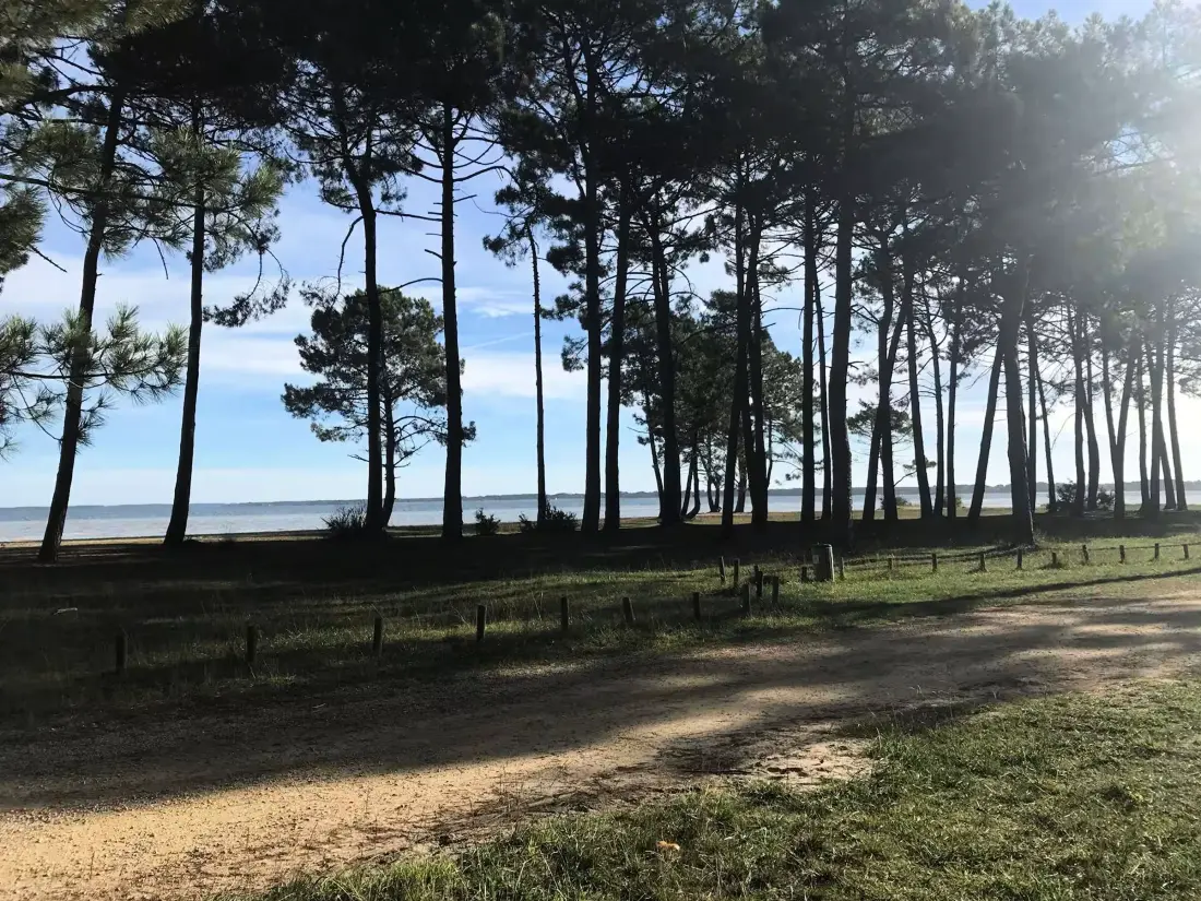 Maison de Vacances Biscarrosse 372