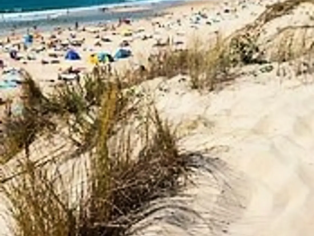 Maison de Vacances Biscarrosse Plage 121