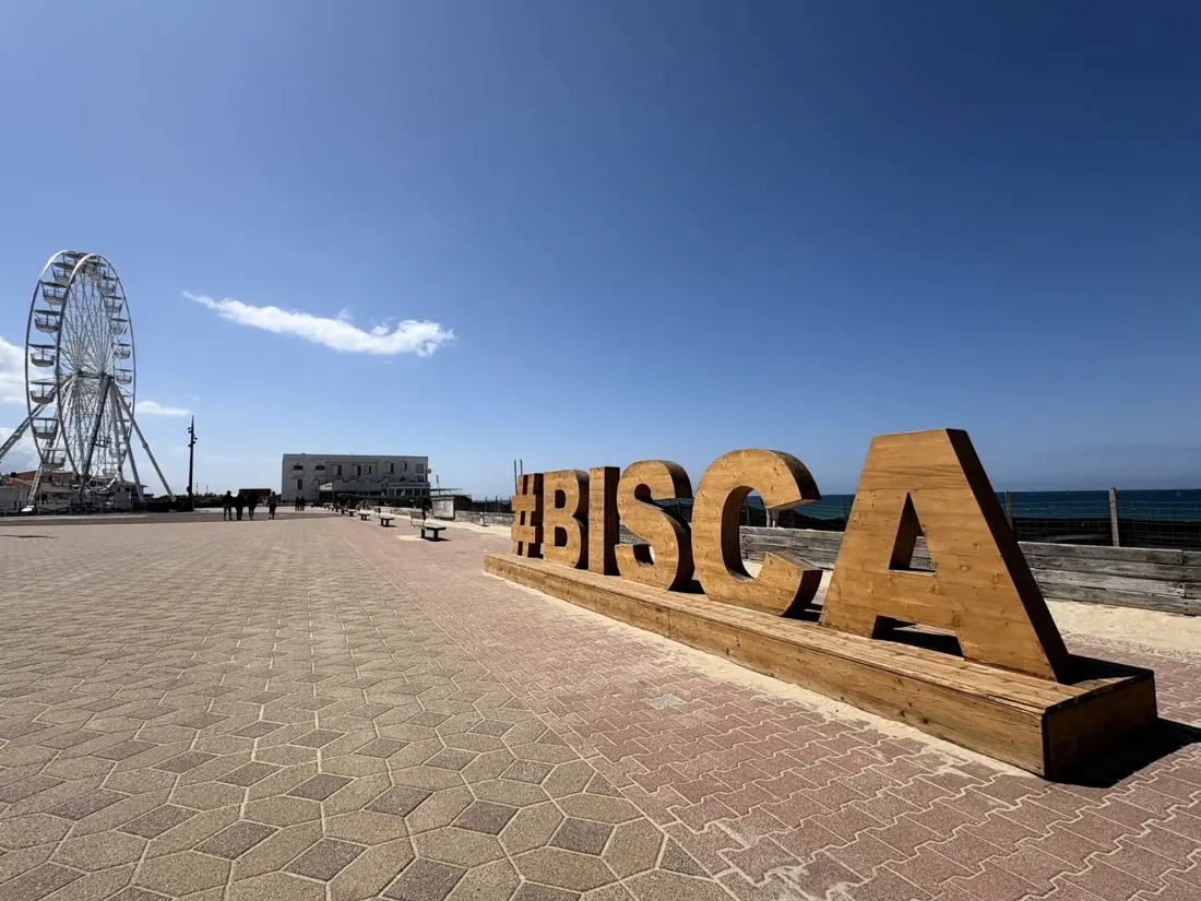 Maison de Vacances Biscarrosse Plage 335