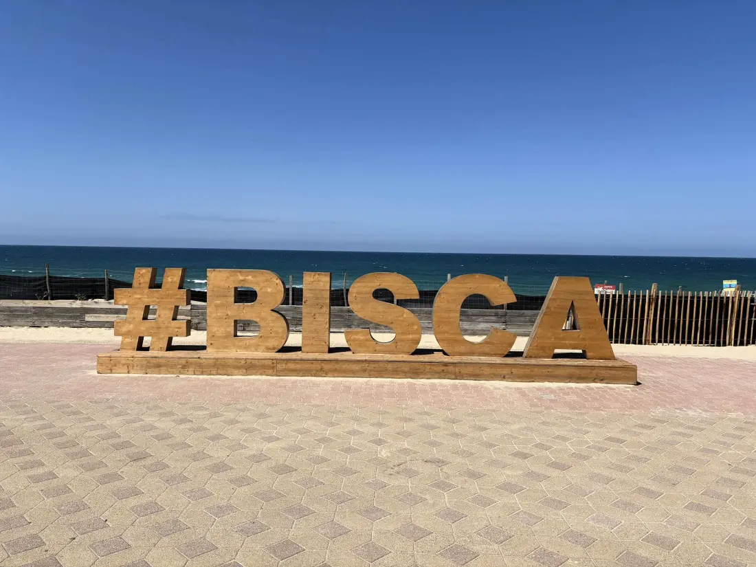Maison de Vacances Biscarrosse Plage 351